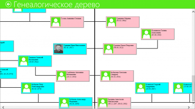 Screenshot of the application Family Tree (Windows 10) - #5