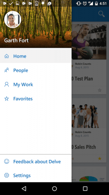 Screenshot of the application Office Delve - #2