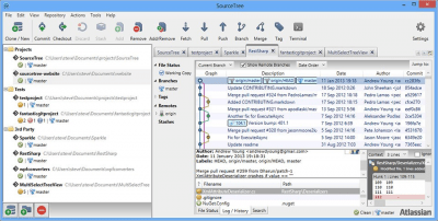 Screenshot of the application SourceTree for Windows - #2