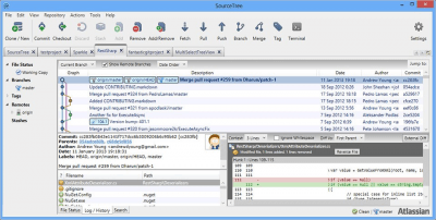 Screenshot of the application SourceTree for Windows - #3