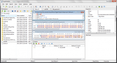 Screenshot of the application SuperHexEdit - #3