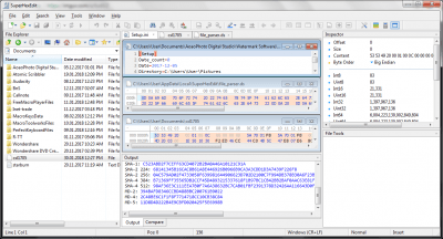 Screenshot of the application SuperHexEdit - #4