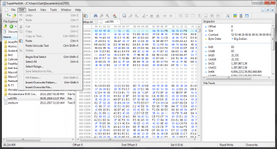 Screenshot of the application SuperHexEdit - #6