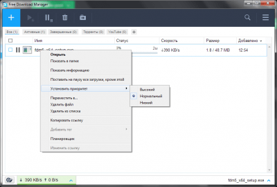 Screenshot of the application Free Download Manager - #4
