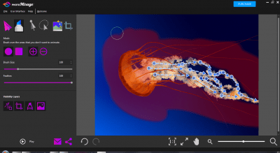 Screenshot of the application PhotoMirage - #3
