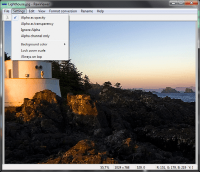 Screenshot of the application RawViewer - #2