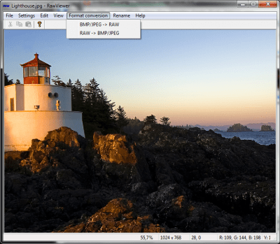 Screenshot of the application RawViewer - #3