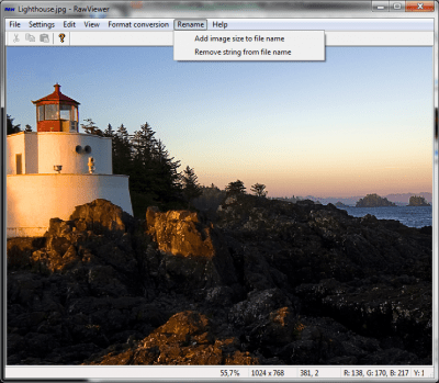 Screenshot of the application RawViewer - #4