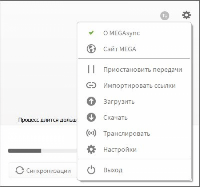 Screenshot of the application MEGAsync - #6