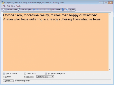 Screenshot of the application Efficient Software Sticky Notes - #1