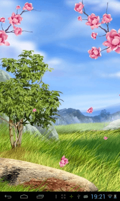 Screenshot of the application Fireworks Soft Sakura Live Wallpaper - #7