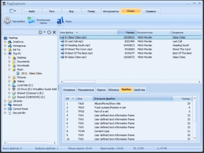 Screenshot of the application TagExplorer - #3