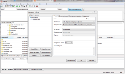 Screenshot of the application FileZilla - #1