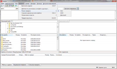 Screenshot of the application FileZilla - #3