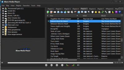 Screenshot of the application Blues Media Player - #2