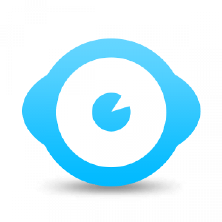 Wise System Monitor download on Windows for free