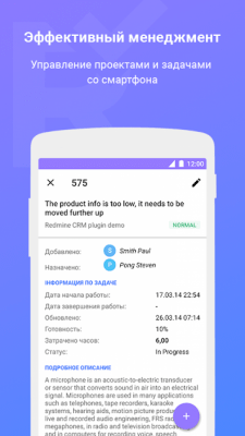 Screenshot of the application Redminer - #3