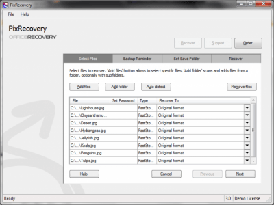 Screenshot of the application PixRecovery - #3