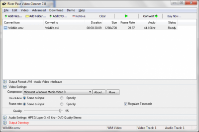 Screenshot of the application River Past Video Cleaner - #3