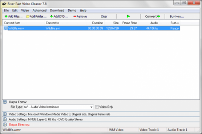 Screenshot of the application River Past Video Cleaner - #4