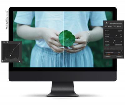 Screenshot of the application Nik Collection - #5