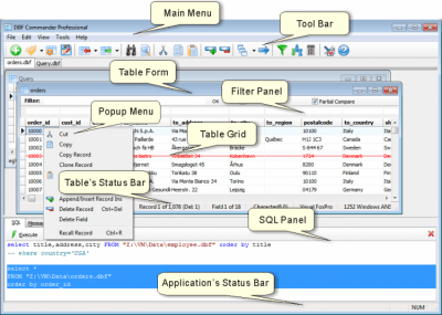 Screenshot of the application DBF Commander Free - #1