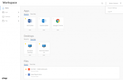 Screenshot of the application Citrix Workspace - #1