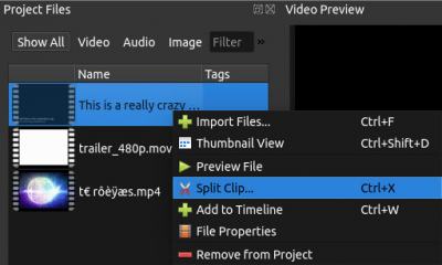 Screenshot of the application OpenShot Video Editor - #2