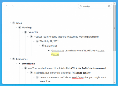 Screenshot of the application WorkFlowy for Windows - #1