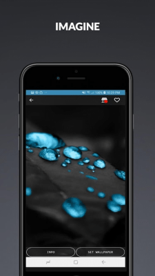Screenshot of the application Wallpapers HD Plus - #4