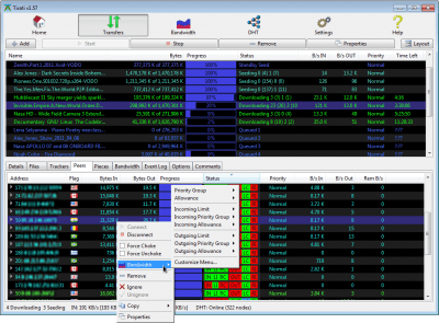 Screenshot of the application Tixati for Windows - #1