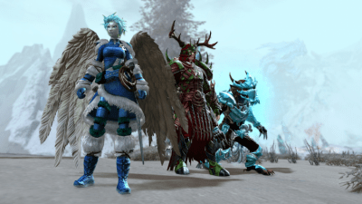 Screenshot of the application Guild Wars 2 - #6