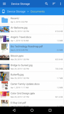 Screenshot of the application File Viewer for Android - #2