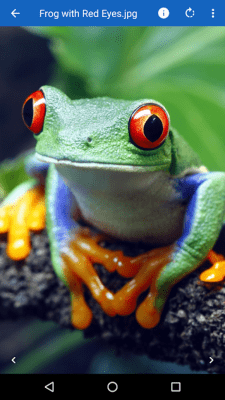 Screenshot of the application File Viewer for Android - #6