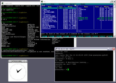 Screenshot of the application Cygwin - #1