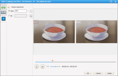 Screenshot of the application Any Video Converter - #7