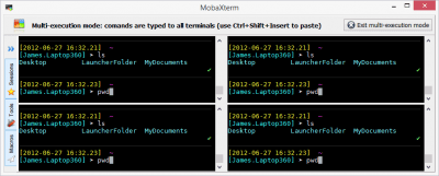 Screenshot of the application MobaXterm - #6