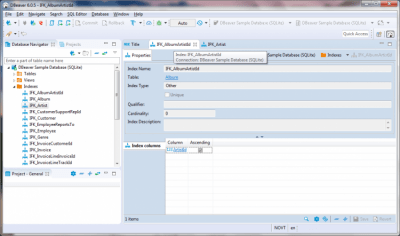 Screenshot of the application DBeaver Windows - #2
