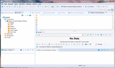 Screenshot of the application DBeaver Windows - #5