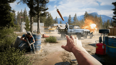 Screenshot of the application Far Cry 5 - #11