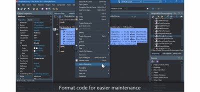 Screenshot of the application Delphi - #4