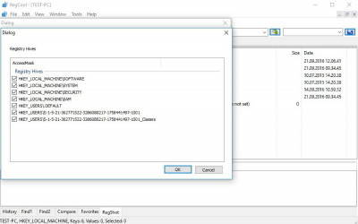 Screenshot of the application RegCool - #4