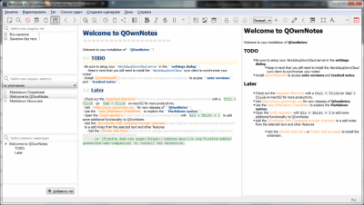 Screenshot of the application QOwnNotes for Windows - #1