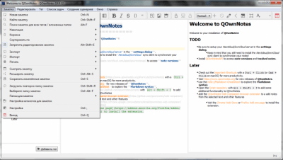 Screenshot of the application QOwnNotes for Windows - #2