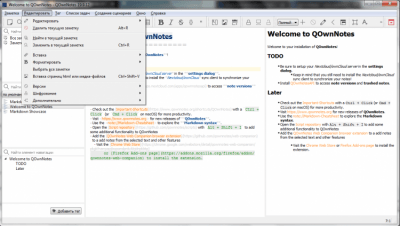 Screenshot of the application QOwnNotes for Windows - #3