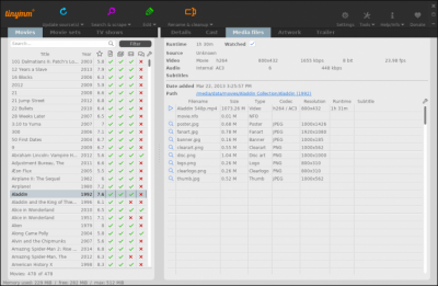 Screenshot of the application tinyMediaManager - #3