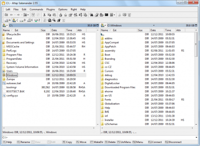 Screenshot of the application Altap Salamander - #5