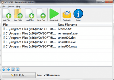 Screenshot of the application Rename Multiple Files - #1