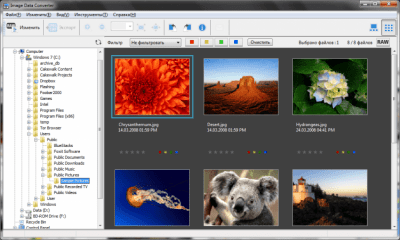 Screenshot of the application Sony Image Data Converter - #1