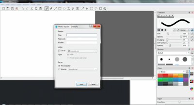 Screenshot of the application Drawpile - #3